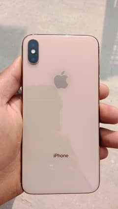 XS max