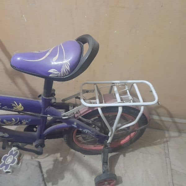 barbie cycle 3