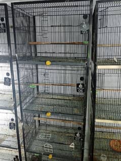 cheap Cages