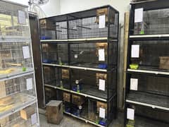 Four Full angle cages 1.5 x 1.5 x 5 (all portions separable)