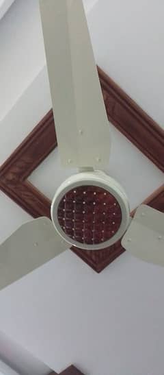 celling fan 03334046660