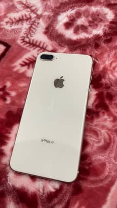 8 plus 256 PTA