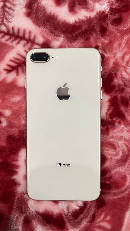 8 plus 256 PTA 1