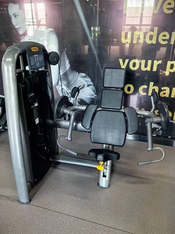 imported gym/technogym/technogym units/gym equipment/imported machines 13