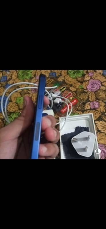 iphone 12 mini 1