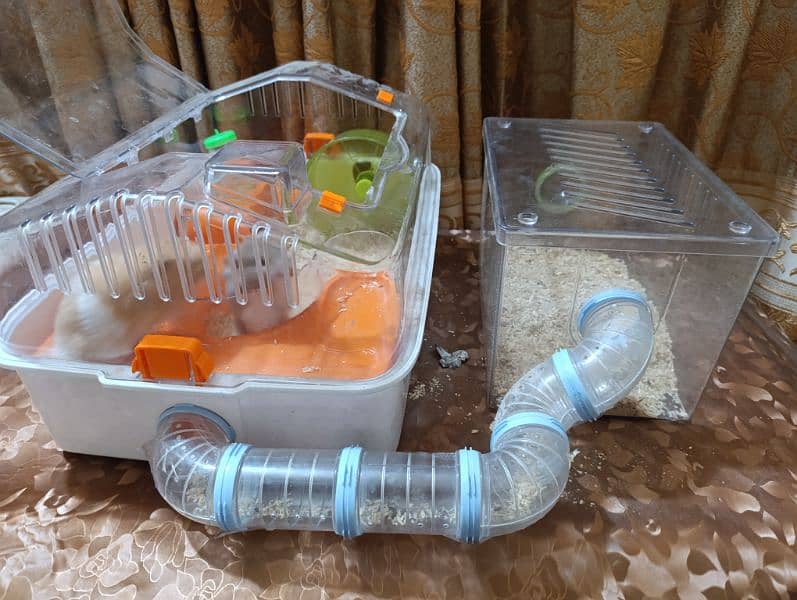 Hamster Pair with Cages Set 4