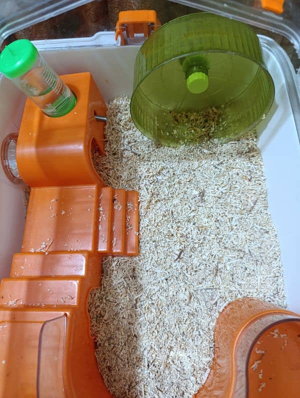 Hamster Pair with Cages Set 6