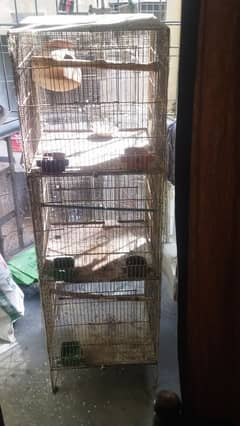 bird parrot cages