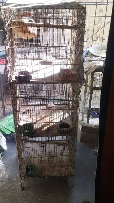 bird parrot cages 2