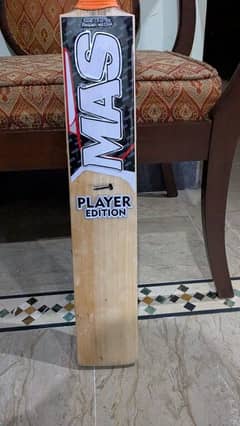 Hard Ball cricket bat