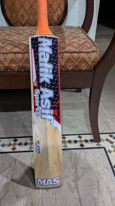 Hard Ball cricket bat 1