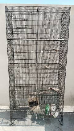 bird cage for sale