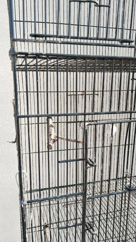 bird cage for sale 1