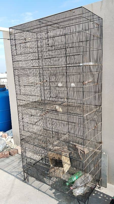 bird cage for sale 3