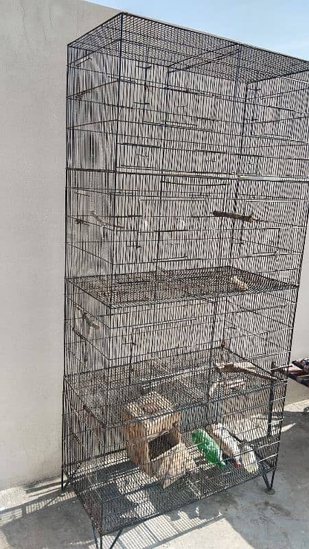 bird cage for sale 4