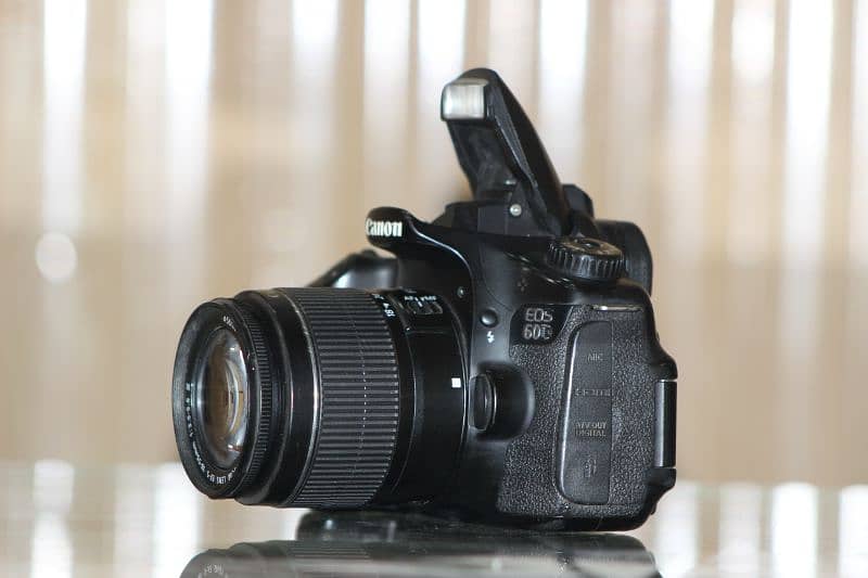 60d canon with kit lens 4