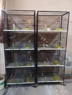 birds cage for sale