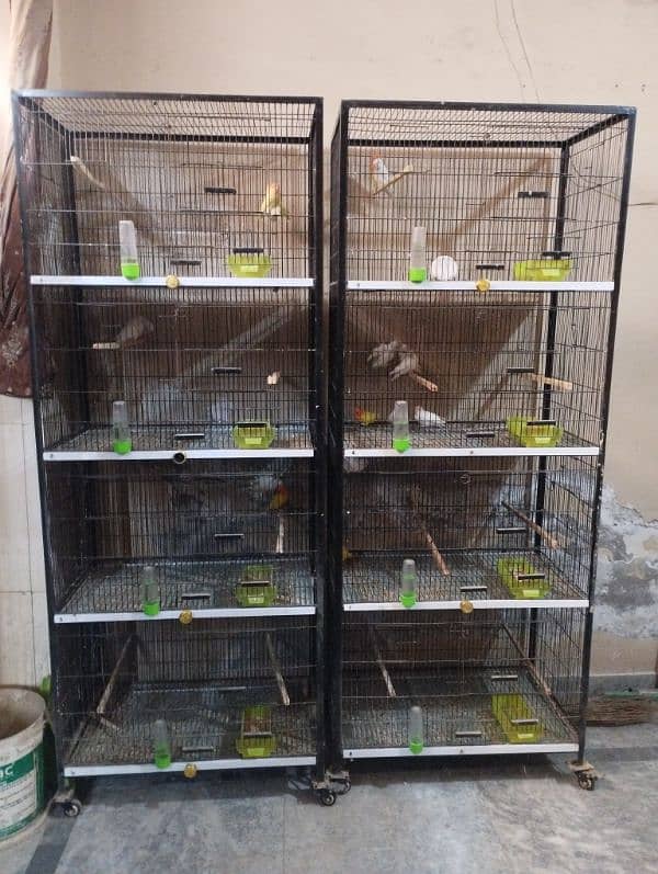 birds cage for sale 0