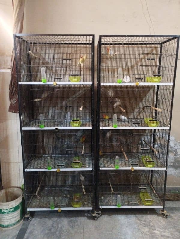 birds cage for sale 1