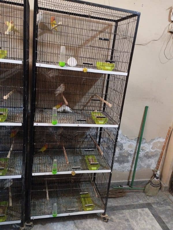 birds cage for sale 2