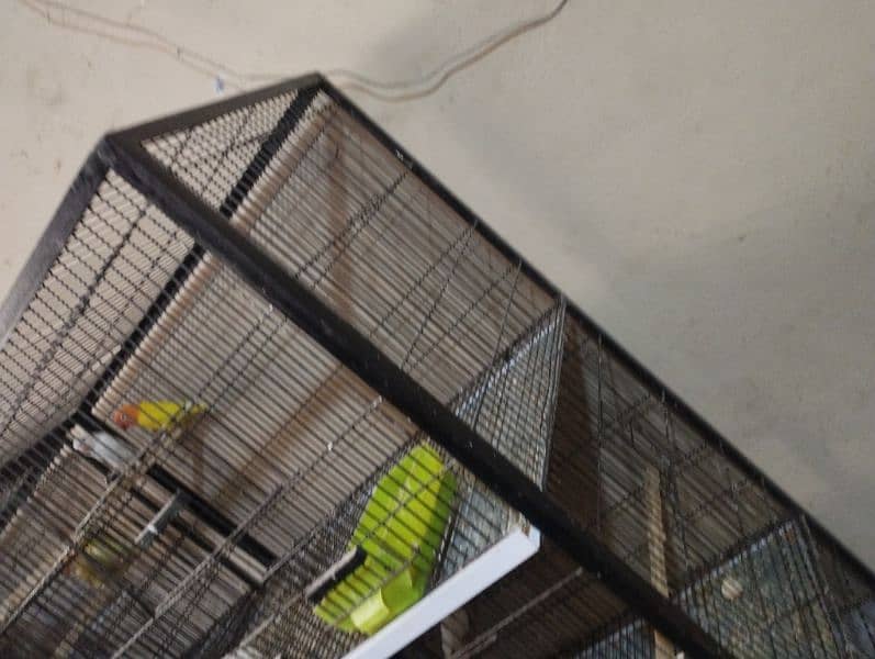 birds cage for sale 3