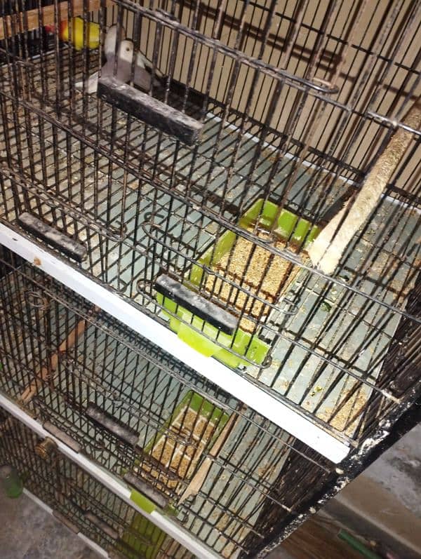 birds cage for sale 4