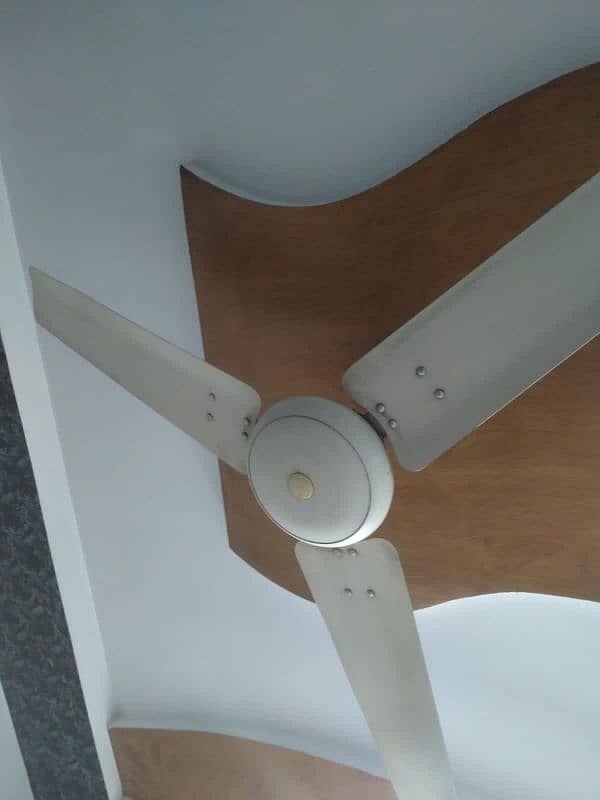 selling fan for sale 0