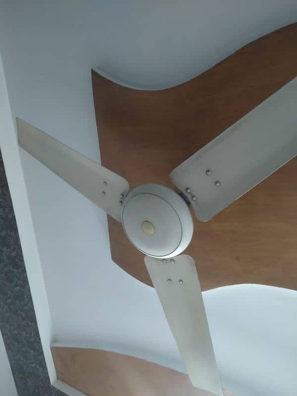 selling fan for sale 1