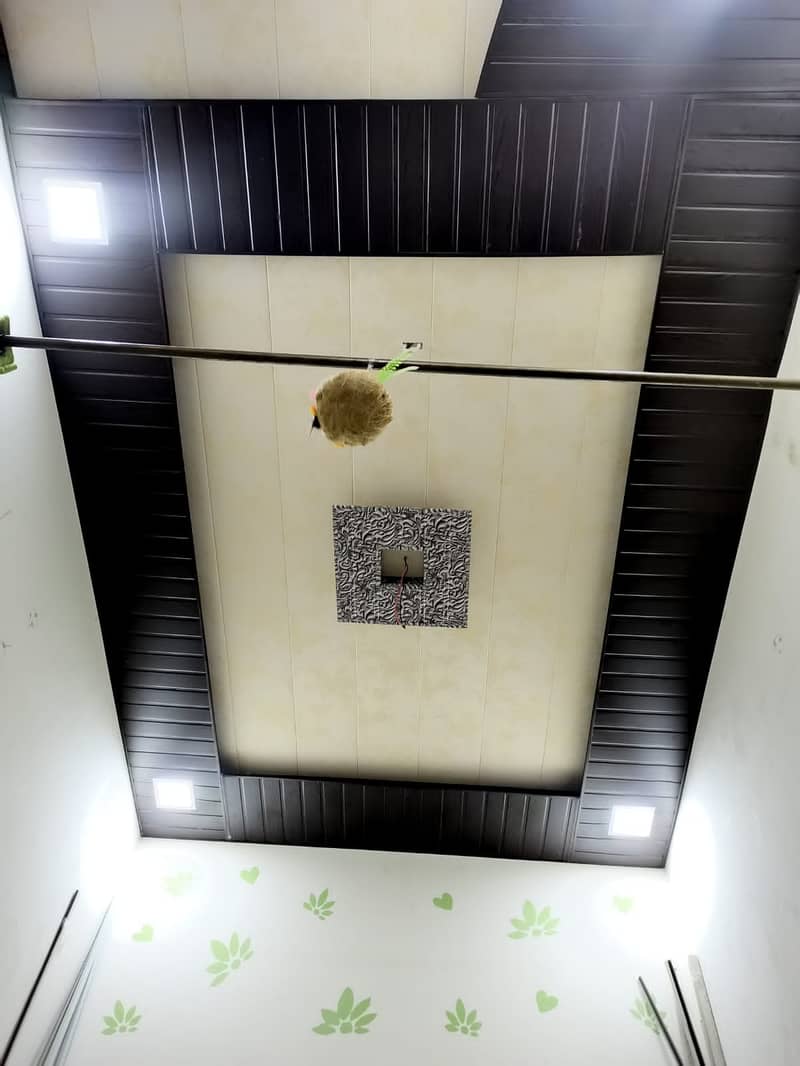 Fancy ceiling/PVC Ceiling/False Ceiling/Gypsum Ceiling/drop ceiling 6