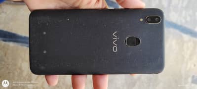 Vivo