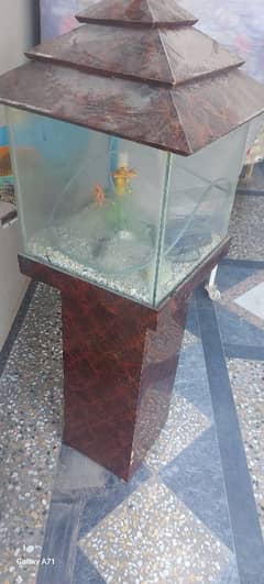 fish tank for sale