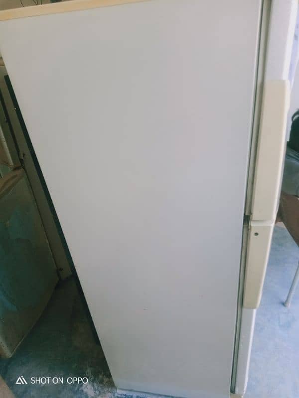 PEL Large size frige 3