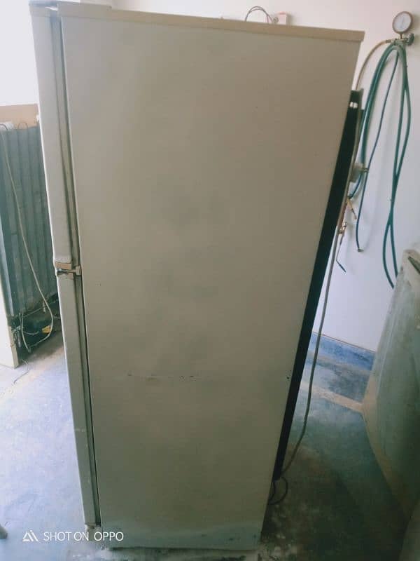 PEL Large size frige 4