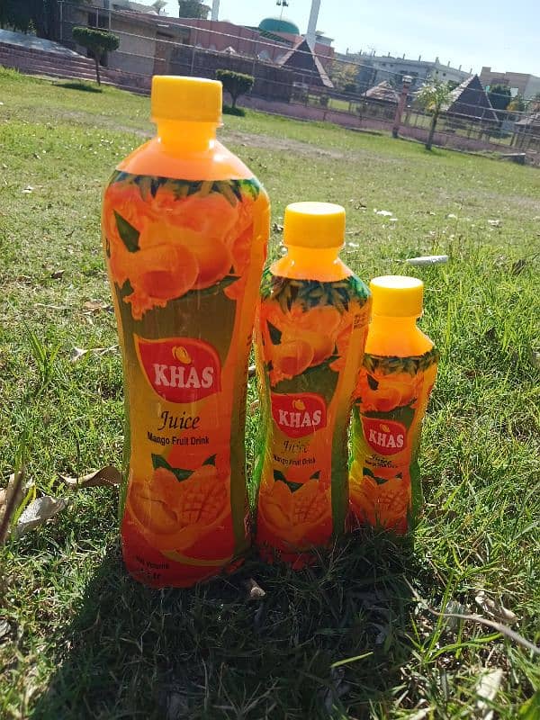 Mango juice Original Quality  With warranty Wholesale 1