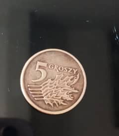 coin 5 groszy 1998 rare coin