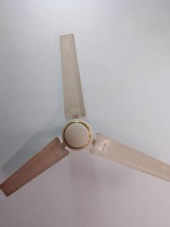 2 Royal celling fans for sale