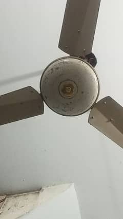 Used Fan For Sale