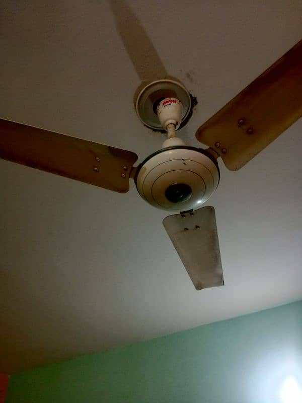 Royal ceiling fan 1