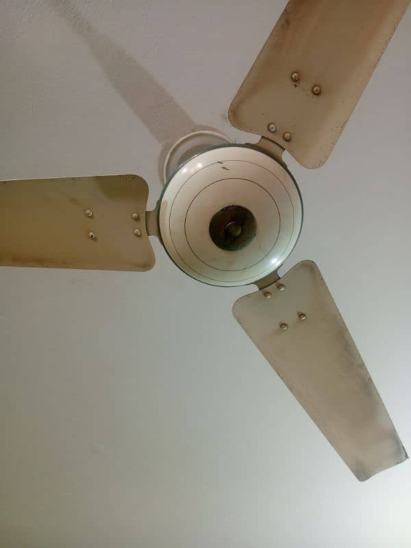 Royal ceiling fan 2