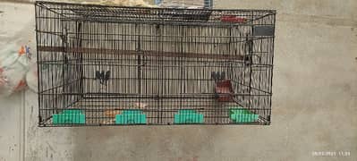 foldable cage for birds