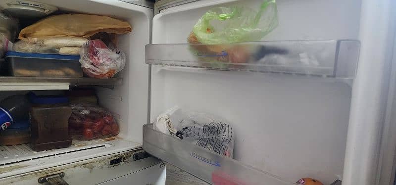 Samsung No Frost Refrigerator Fridge 5