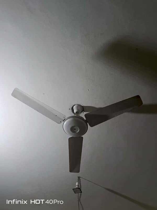 fan for sale 1