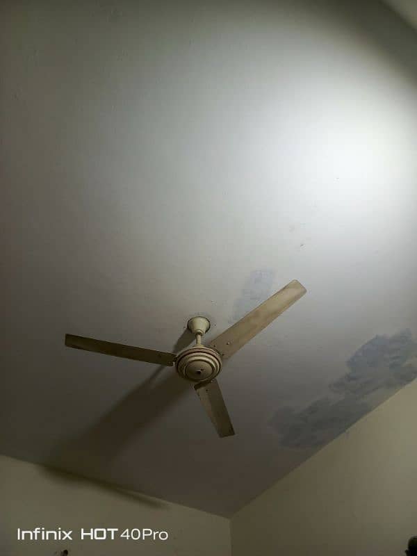 fan for sale 2