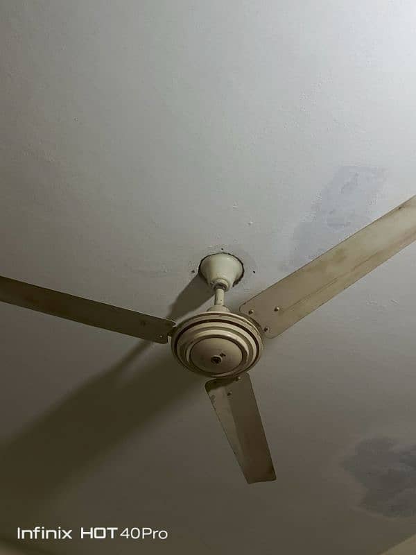 fan for sale 3