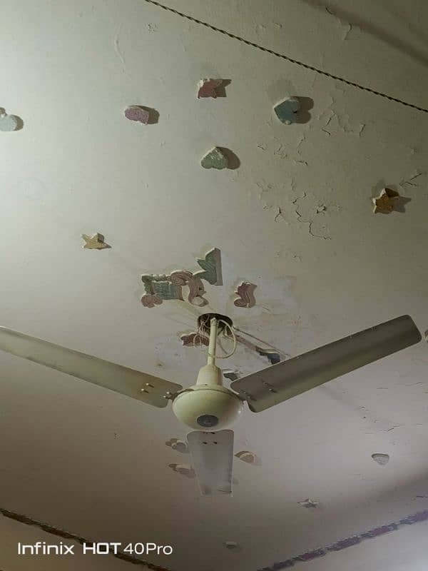 fan for sale 4