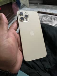 iphone 12 pro max pta approved