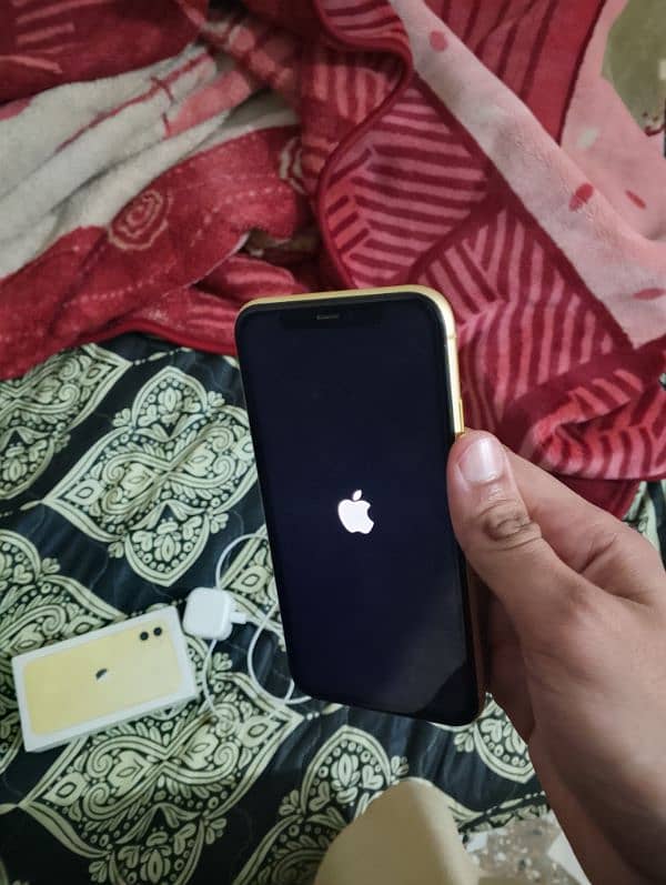 iphone 11 best condition 1