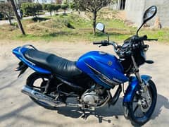 Yamaha YBR 125 | Model 2018 | Yamaha In Bikes | Total Geniune