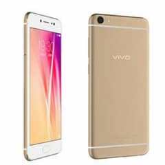 vivo