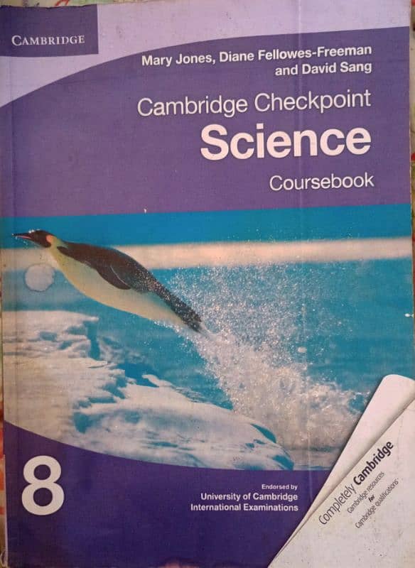 Cambridge Books for Class P-2 (VII) - Half Price 1